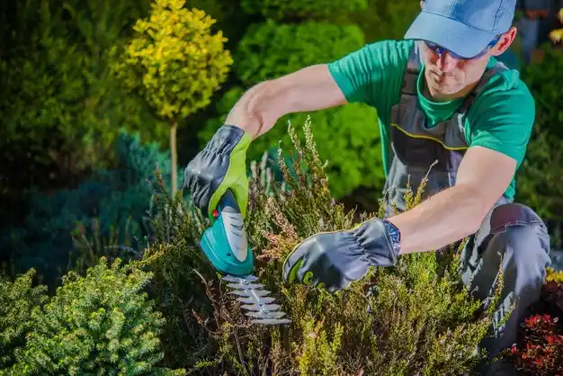 landscaping services East Bernstadt